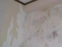 首页- 云顶国际集团官方网站