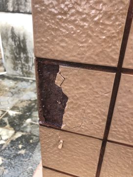 首页- 云顶国际集团官方网站